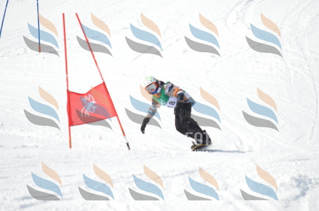 D9244 | holidayphoto