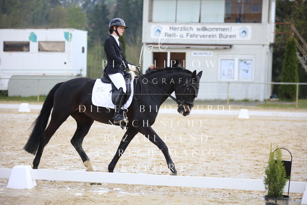 IMGT3588 | pl-fotografie