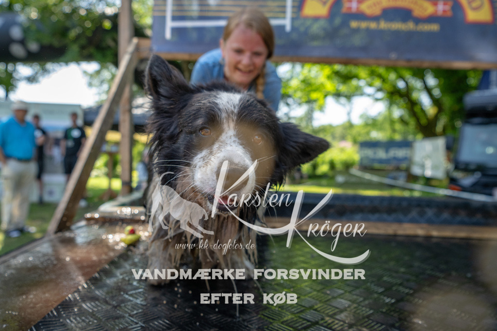 1343_ZZ92103 | kk-dogfotos