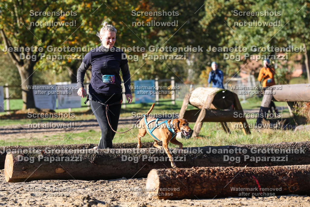 Dog Paparazzi - Strongdog 10-25-1621 | Dog Paparazzi Jeanette Grottendiek Fotografie & Videografie - Realisiert mit Pictrs.com