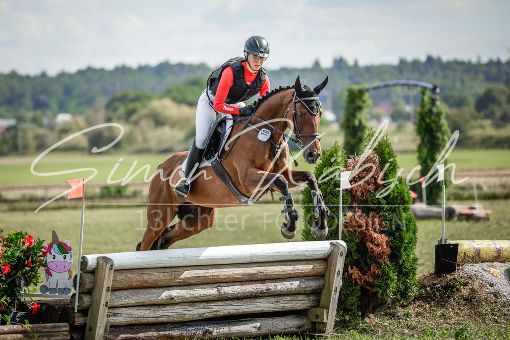 20250906-_3LI6756 | Tierfotografie Pferde, Hunde, Katzen, Haustiere.
Turnierfotografie Reitturniere, Reiten, Springreiten, Dressur in Hanau, dem Main-Kinzig-Kreis und dem Rhein-Main- Gebiet um Frankfurt