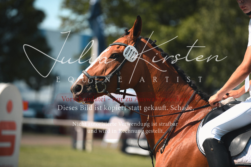 DSC_6899 | Pferde- und Turnierfotografie in Westsachsen. Pferdeportraits, Auftragszeichnungen und intuitive Kunst.