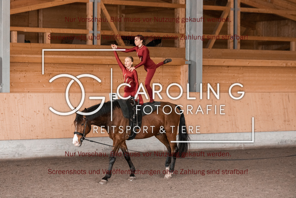 DSC_2085 | Turnierfotografin Carolin Gieschke,Reitsport Turnierfotografie Carolin G Fotografie | Turnierfotos aus Kirchheim/Teck, Esslingen, Stuttgart und dem Bodenseekreis