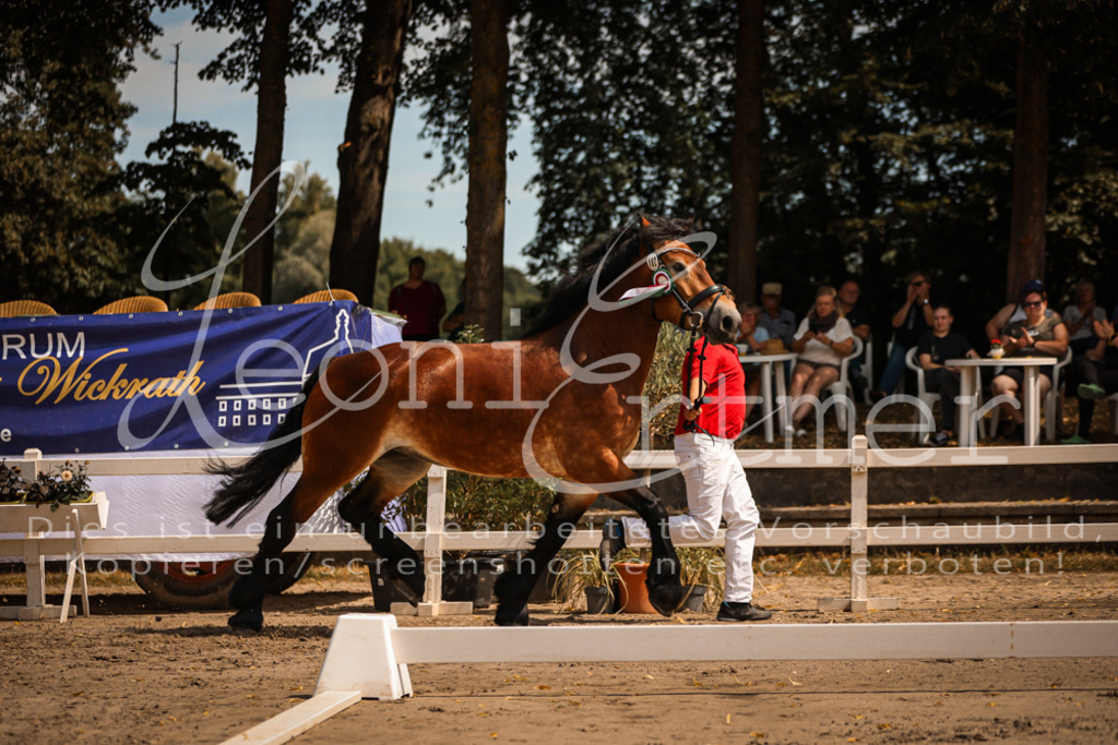 1.Sa00067 | Leoni Ertmer Photography - Realisiert mit Pictrs.com