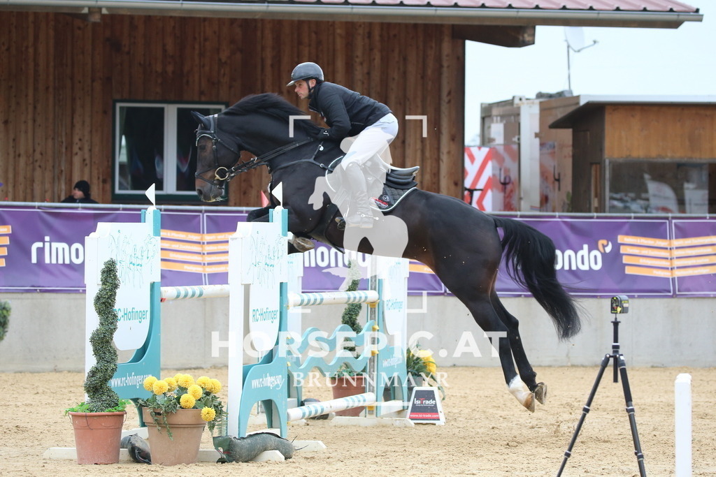 DL2Q1619 | Willkommen bei Brunnmayr - Design & Fotografie – Ihrem Spezialisten für Reitturniere und Pferdeveranstaltungen in Oberösterreich, Salzburg und Bayern! Seit über 17 Jahren sind wir leidenschaftlich dabei.