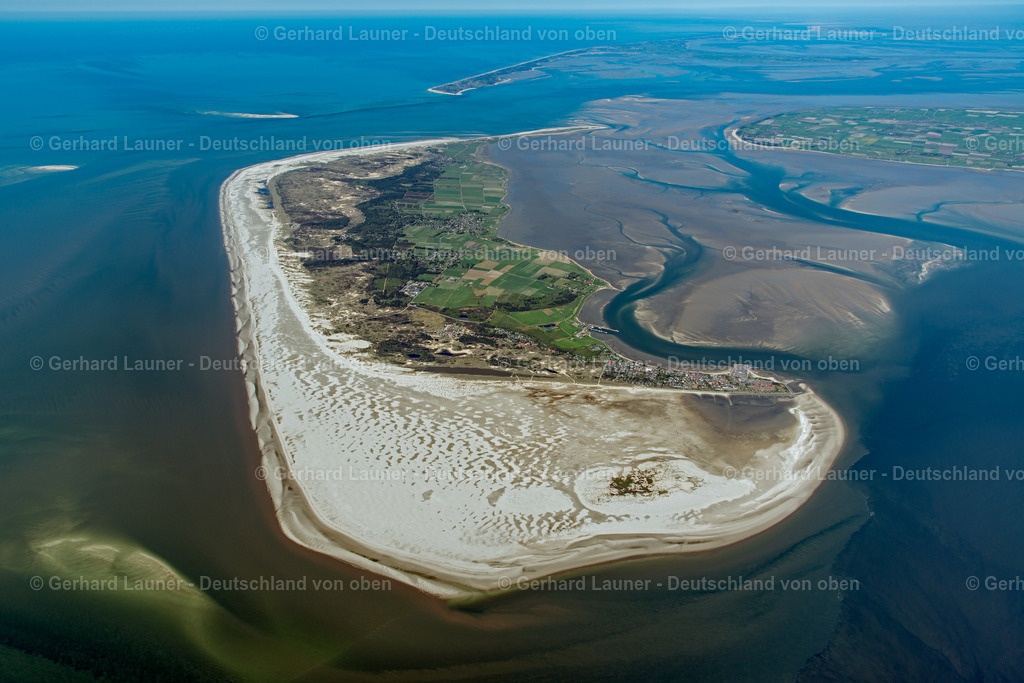 3801690 | Amrum, Nationalpark Schleswig-Holsteinisches Wattenmeer