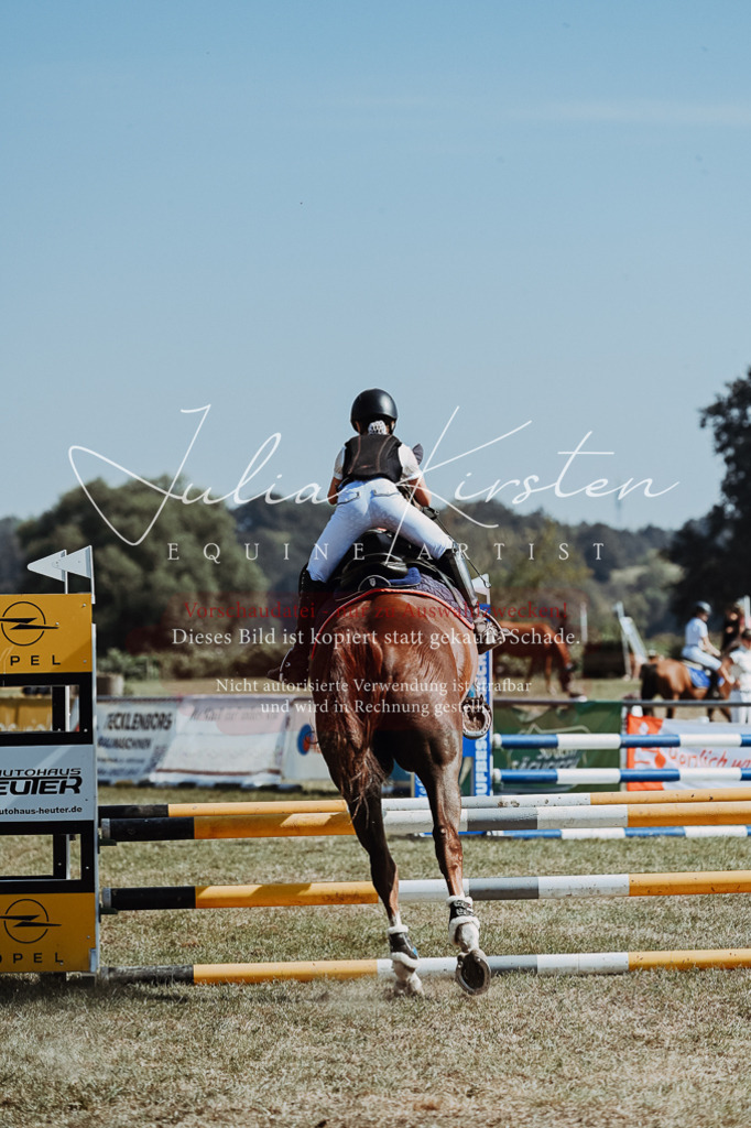 DSC_9470 | Pferde- und Turnierfotografie in Westsachsen. Pferdeportraits, Auftragszeichnungen und intuitive Kunst.
