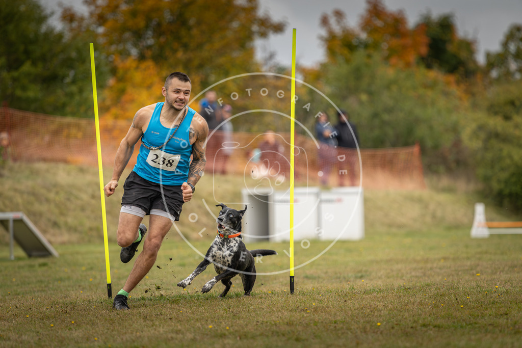 Pfotenfotografie_DV3A5335 | Hundefotografie, Tierfotograf, Pfotenfotografie, Fotoshooting Hund, Hunde Portrait, Hundesport, Hundeportraits, Heideshooting, Hunde, Sportfotograf, Hundefotograf, Turnierhundsport, THS,  - Realisiert mit Pictrs.com