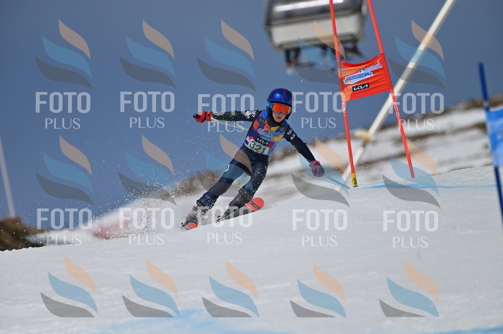 BGV_6338 | holidayphoto