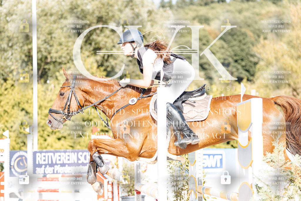 CK909351 | Turnierfotografie Pferdefotografie Trier Rheinland-Pfalz Pferdesport Reitsport Tierfotografie Sportfotografie Pferdevideo Pferdevideografie Equestrianvideography equestrianphotography  - Realisiert mit Pictrs.com