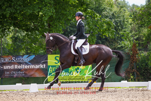 DKP41264 | Turnierfotos kaufen im Webshop von Daniel Kuhl Photography – entdecke professionelle Reitsportfotos aus Turnieren & Events. Hochwertige Turnierbilder online bestellen & sichern. Jetzt Fotos von Reitsportturnieren kaufen!