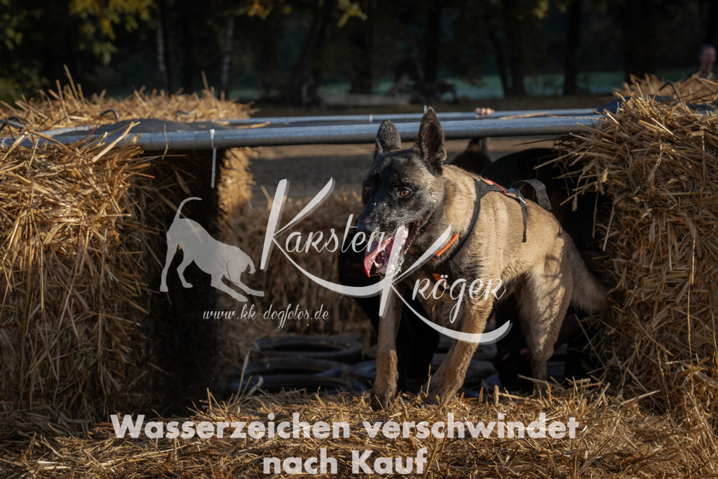 0945_ZZ94450 | kk-dogfotos