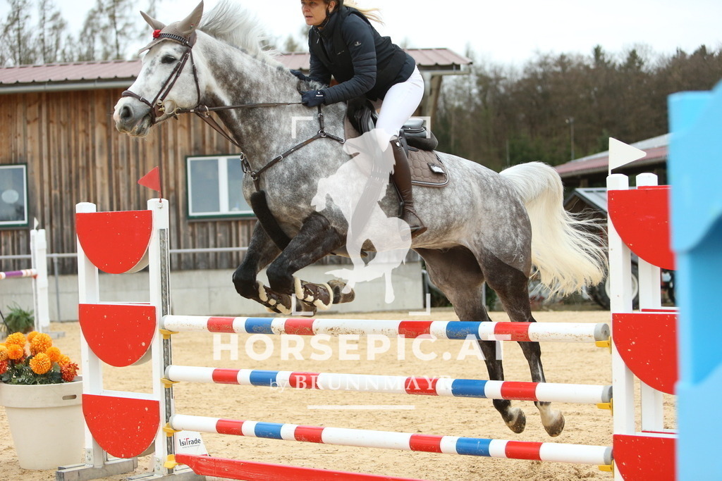 DL2Q2711 | Willkommen bei Brunnmayr - Design & Fotografie – Ihrem Spezialisten für Reitturniere und Pferdeveranstaltungen in Oberösterreich, Salzburg und Bayern! Seit über 17 Jahren sind wir leidenschaftlich dabei.