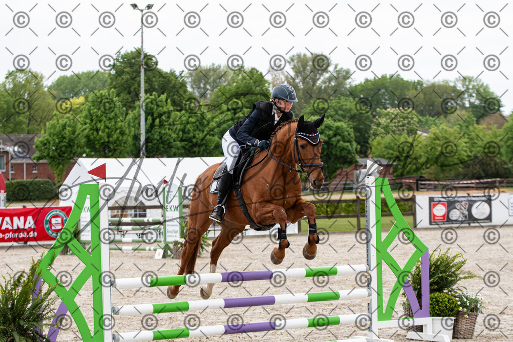 KPT_7642 | andre_photographic