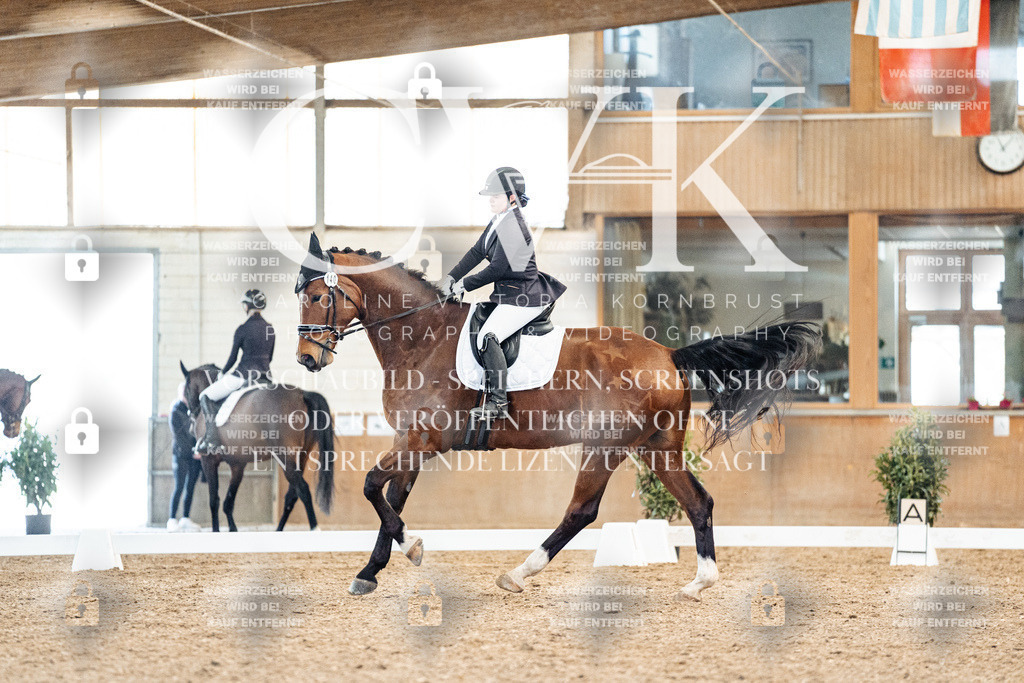 CK909157 | Turnierfotografie Pferdefotografie Trier Rheinland-Pfalz Pferdesport Reitsport Tierfotografie Sportfotografie Pferdevideo Pferdevideografie Equestrianvideography equestrianphotography  - Realisiert mit Pictrs.com