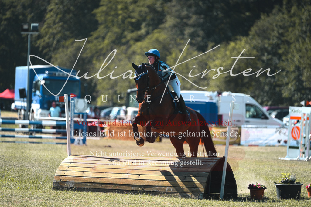 DSC_8051 | Pferde- und Turnierfotografie in Westsachsen. Pferdeportraits, Auftragszeichnungen und intuitive Kunst.