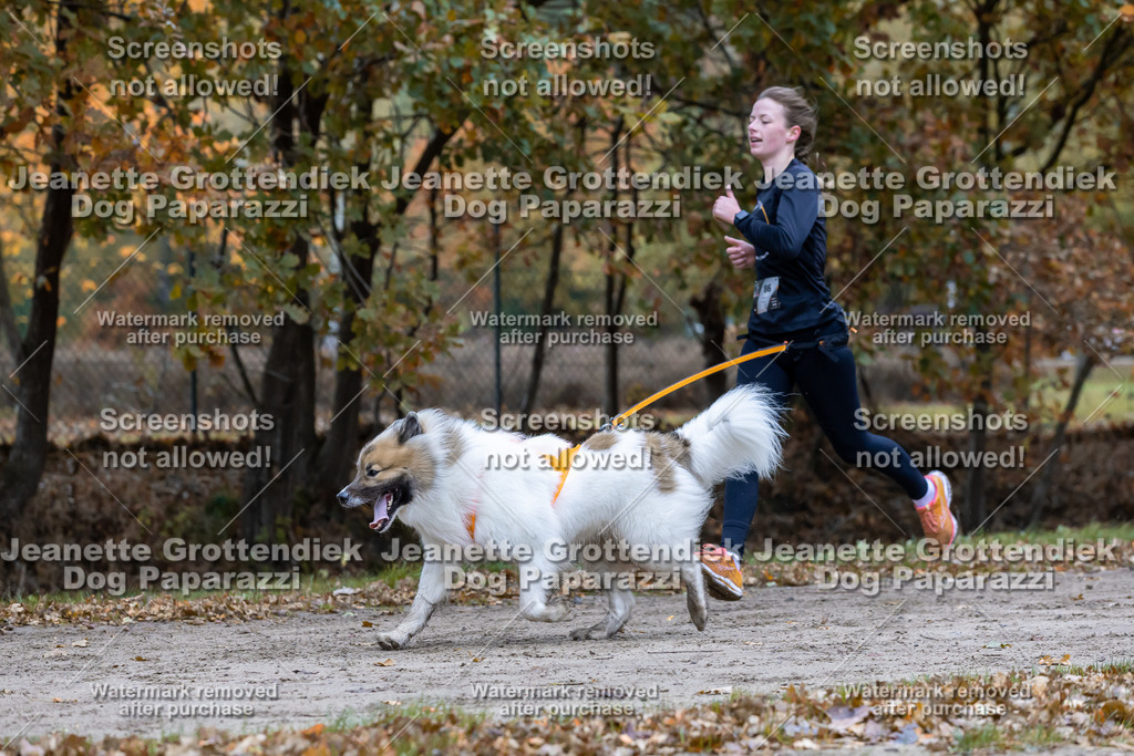 Dog Paparazzi - SD CaniX Championship 2025-377 | Dog Paparazzi Jeanette Grottendiek Fotografie & Videografie - Realisiert mit Pictrs.com