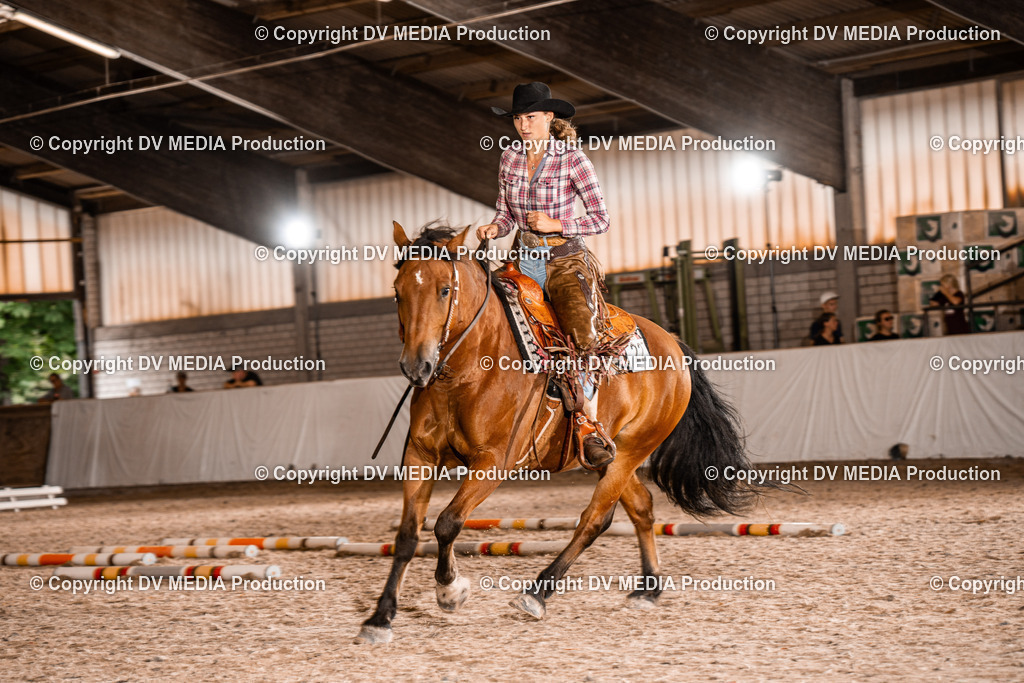 ZH300314 | dv-media-shop - Realisiert mit Pictrs.com