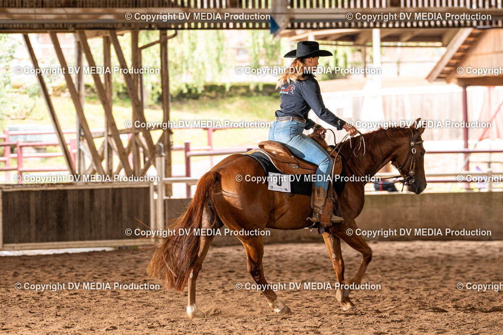 Erbach Tag 1-332 | dv-media-shop - Realisiert mit Pictrs.com