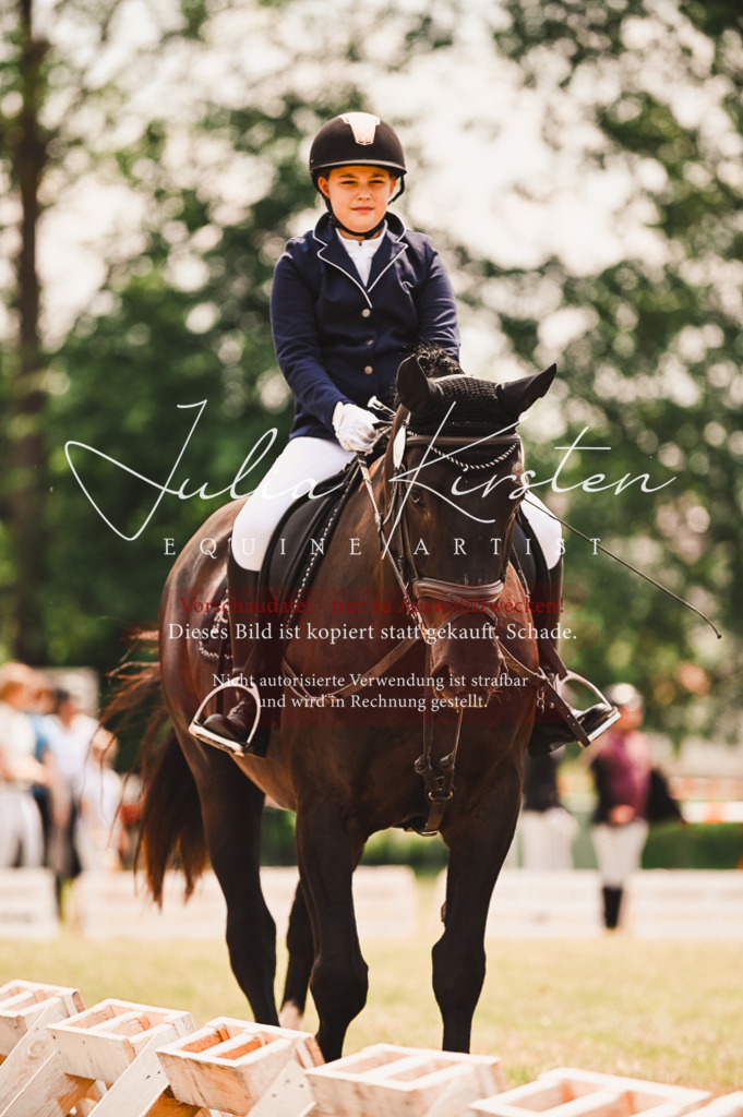 DSC_6282 | Pferde- und Turnierfotografie in Westsachsen. Pferdeportraits, Auftragszeichnungen und intuitive Kunst.