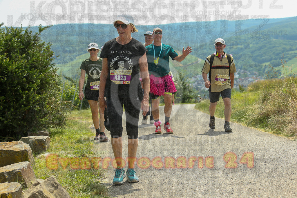 250614_1327_EX1_8889 | Sportfotografie im Rhein-Sieg Kreis, Köln, Bonn, NRW, Rheinland Pfalz, Hessen, etc. Unser Tätigkeitsfeld umfasst den Laufsport vom Volkslauf über den Marathon, Duathlon, Triathon bis zum Ultralauf wie Kölnpfad Ultra oder Schindertrail.
