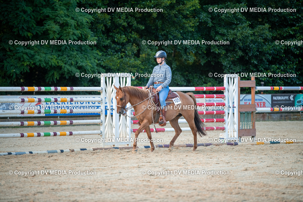 EWP_7281 | dv-media-shop - Realisiert mit Pictrs.com