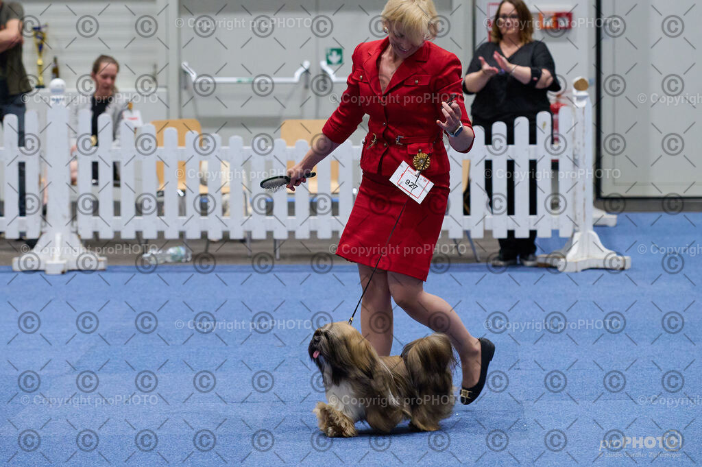 202406_ÖKV-IHA-Tulln24_DSC_3366 | proPHOTO - Realisiert mit Pictrs.com