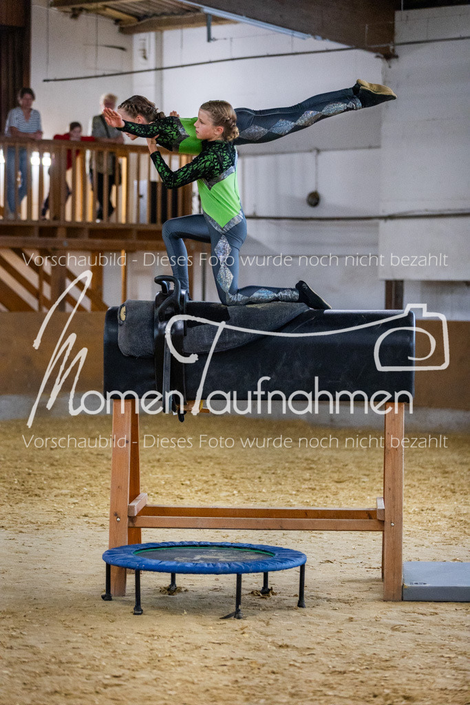 Holzpferd-009 | MomenTaufnahmen Pferdesportfotos