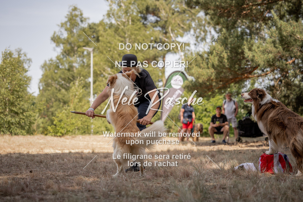 nelerasche_soDD2_138 | nelerasche