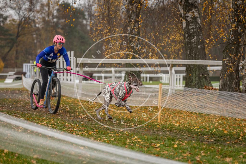 CaniXpix_DV3A8193 | Hundefotografie, Tierfotograf, Pfotenfotografie, Fotoshooting Hund, Hunde Portrait, Hundesport, Hundeportraits, Heideshooting, Hunde, Sportfotograf, Hundefotograf, Turnierhundsport, THS,  - Realisiert mit Pictrs.com