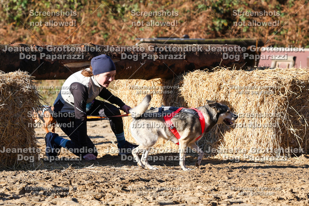 Dog Paparazzi - Strongdog 10-25-1605 | Dog Paparazzi Jeanette Grottendiek Fotografie & Videografie