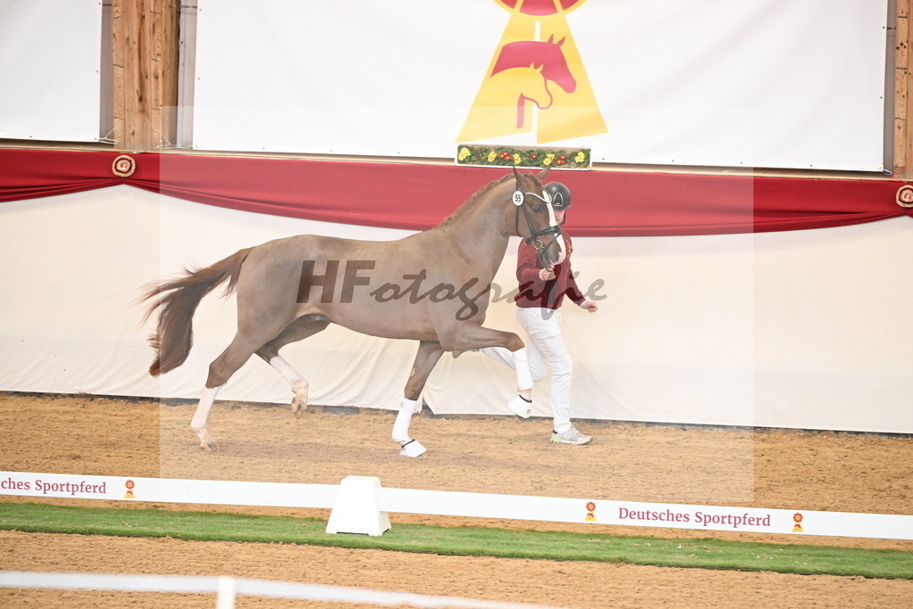 Kat.-Nr. 55 v. Ellis_Senf _ Kampmann_2250393 | hf-fotografie - Realisiert mit Pictrs.com