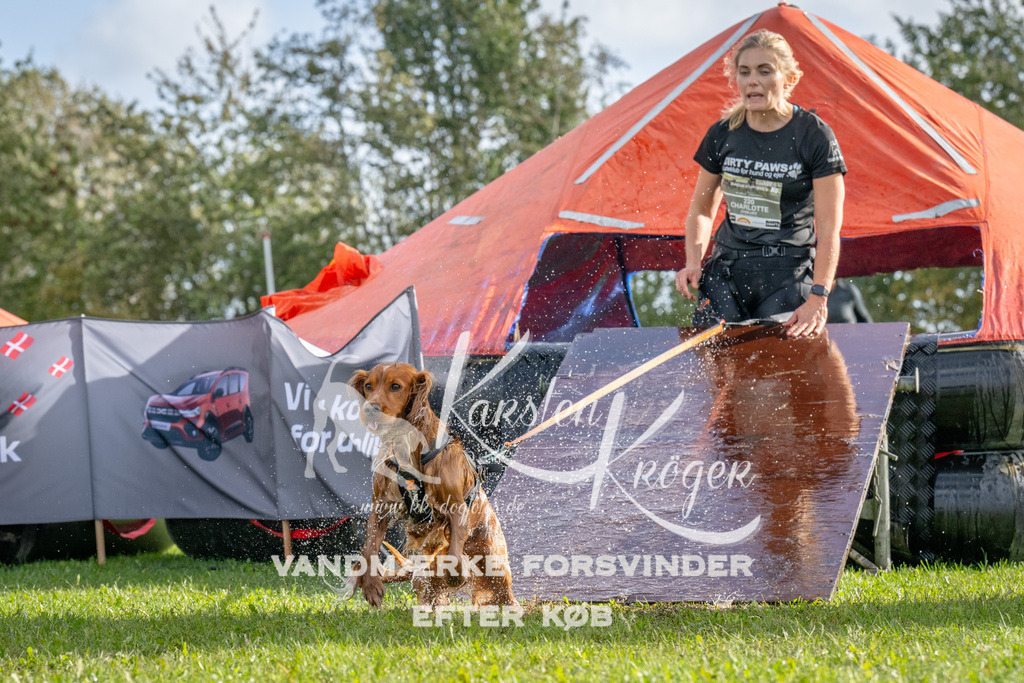 1210-92672 | kk-dogfotos