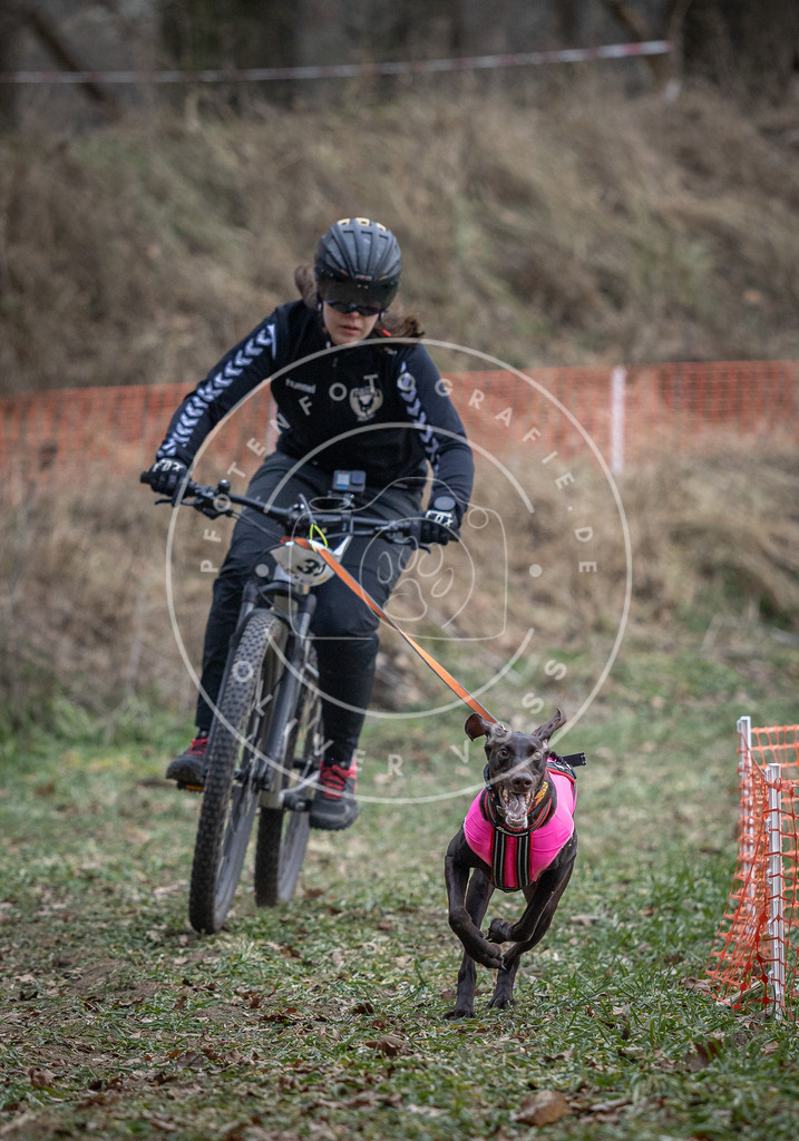 Pfotenfotografie_DV3A9569 | Hundefotografie, Tierfotograf, Pfotenfotografie, Fotoshooting Hund, Hunde Portrait, Hundesport, Hundeportraits, Heideshooting, Hunde, Sportfotograf, Hundefotograf, Turnierhundsport, THS,  - Realisiert mit Pictrs.com
