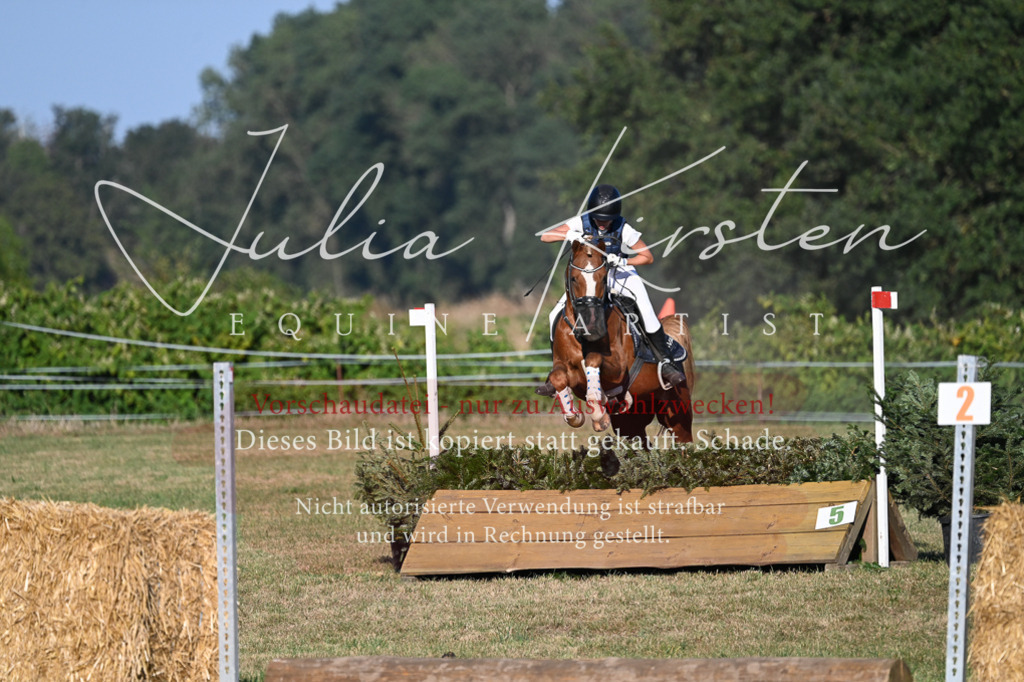 DSC_9082 | Pferde- und Turnierfotografie in Westsachsen. Pferdeportraits, Auftragszeichnungen und intuitive Kunst.