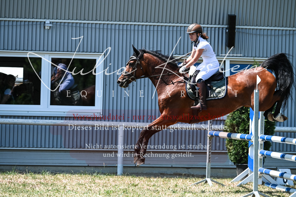 DSC_0403 | Pferde- und Turnierfotografie in Westsachsen. Pferdeportraits, Auftragszeichnungen und intuitive Kunst.