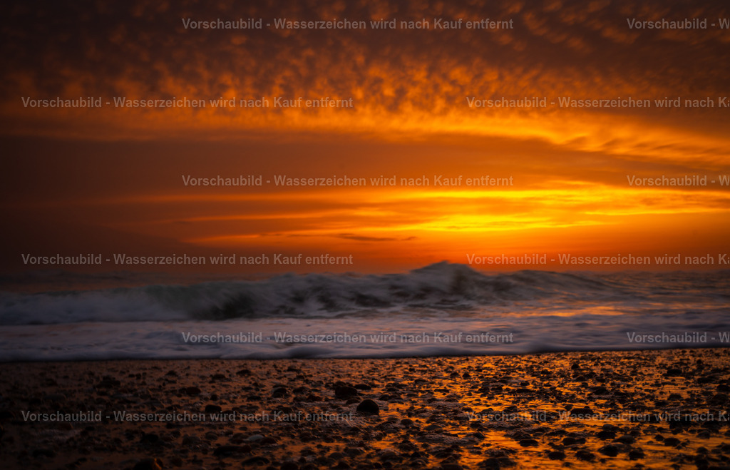 DSC03149 | marcuslinek