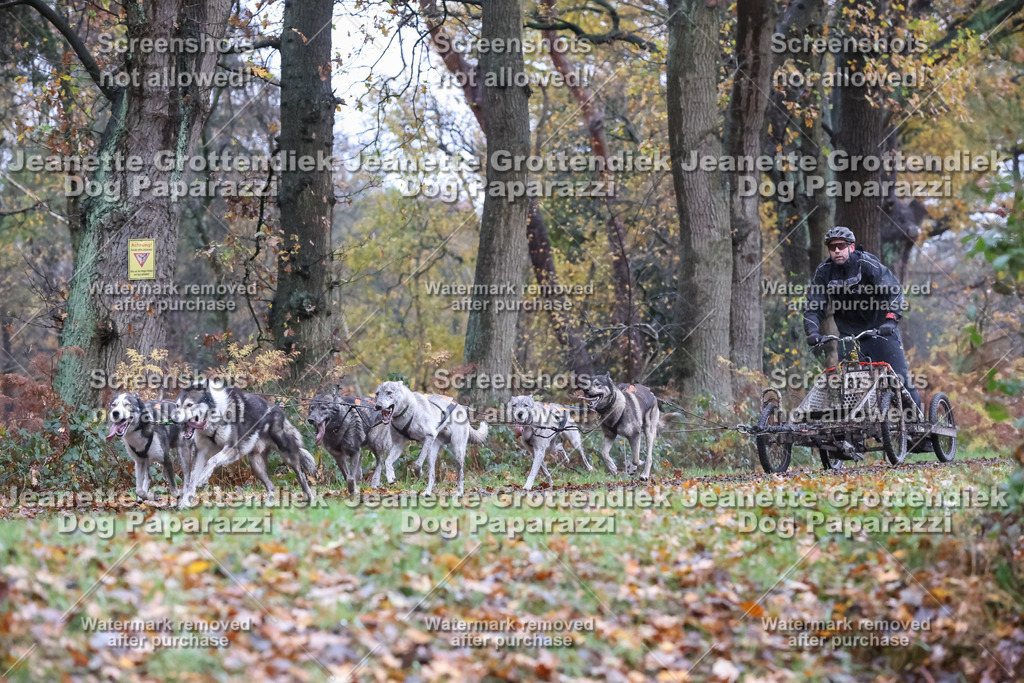 Dog Paparazzi - Ströhen 25-29 | Dog Paparazzi Jeanette Grottendiek Fotografie & Videografie