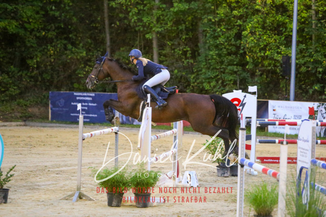 IMG_6258 | Turniersportfotografie; Pferdefotografie; Dressurfotografie