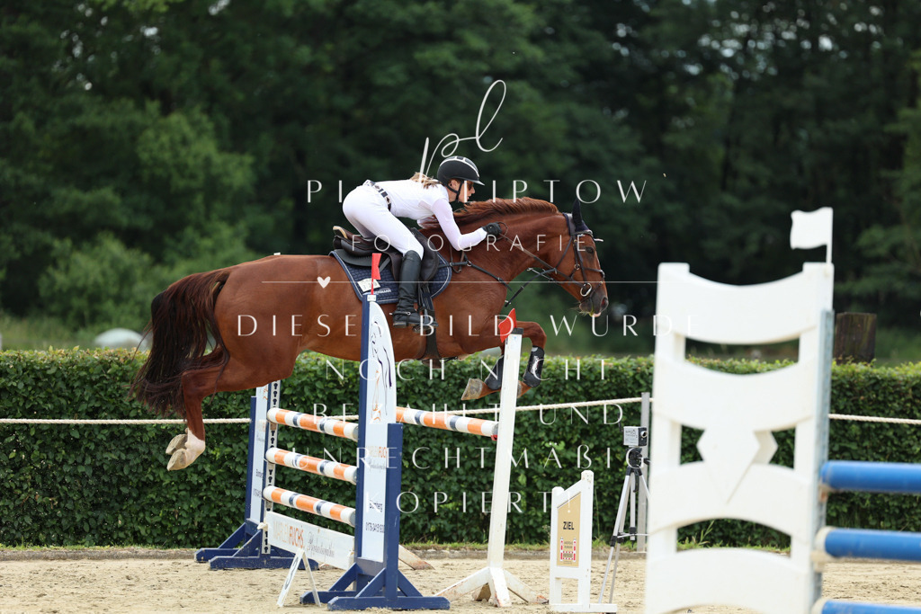 IMGM5797 | pl-fotografie