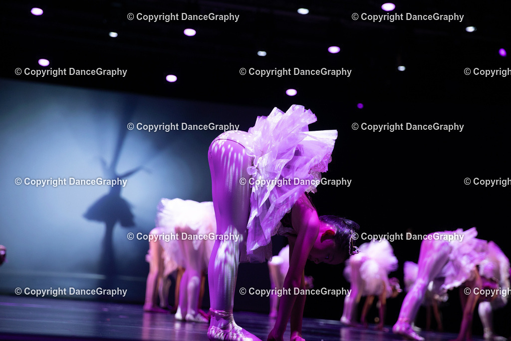 GPHY5235 | DanceGraphy - Realisiert mit Pictrs.com