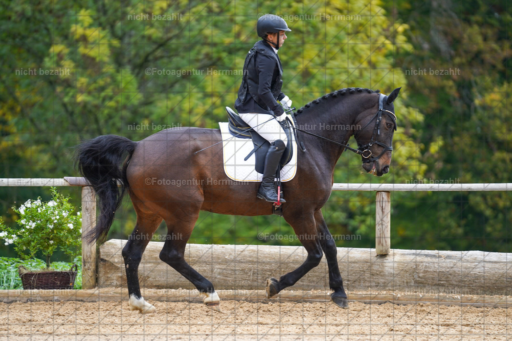 20221008-FAH01112 | Diessen am Ammersee, 2022, Dressur- und Springturnier, Reitsportbilder, Turnierfotografen Bayern, Pferdefotografen, Fotoagentur Herrmann, Turnierbilder