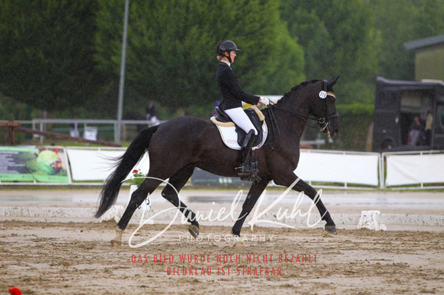 DKP40818 | Turniersportfotografie; Pferdefotografie; Dressurfotografie