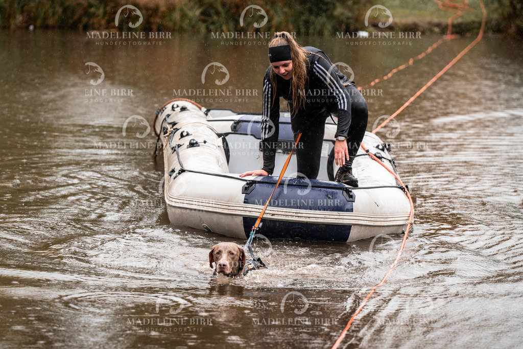 madeleinebirr-fotografie2025.campcanis.11-12Uhr-353 | hundefotografie-birr