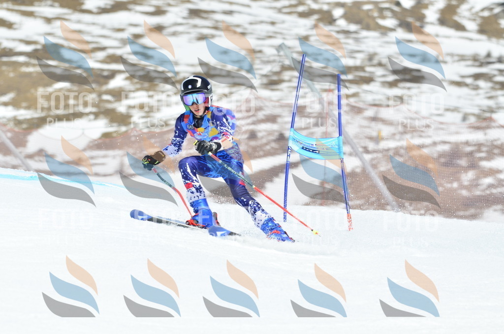 _ELE2344 | holidayphoto