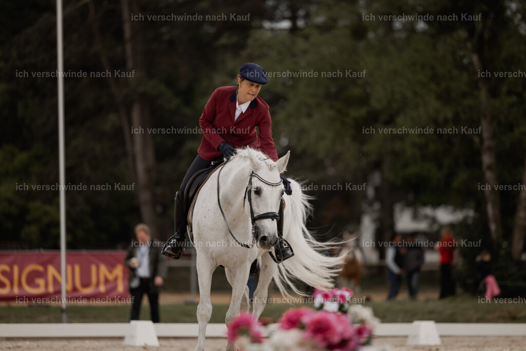 WE_DR_Stoib_332_ _PI2025_176 | Pferd International München 2025