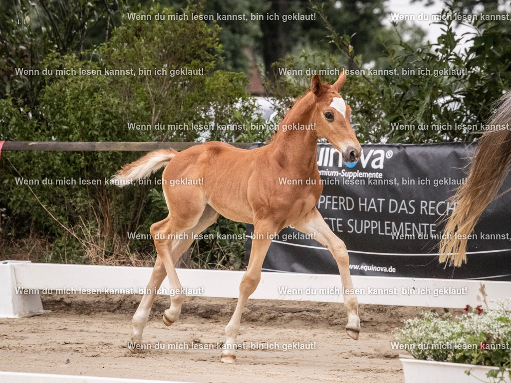 A10I9415 | photographylinaismer - Realisiert mit Pictrs.com