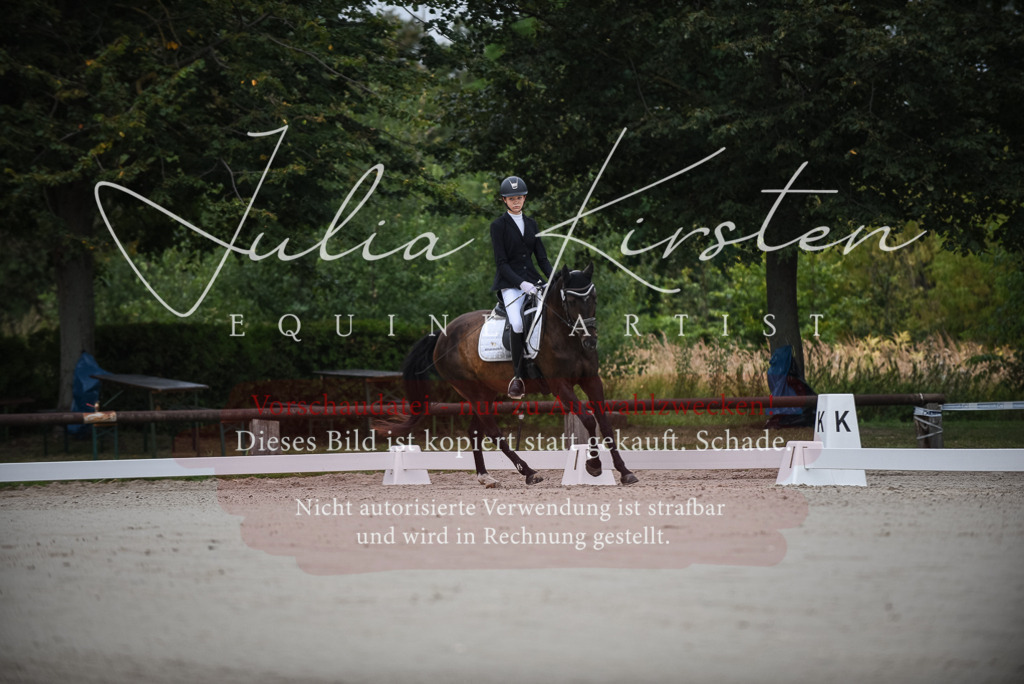 DSC_7920 | Pferde- und Turnierfotografie in Westsachsen. Pferdeportraits, Auftragszeichnungen und intuitive Kunst.
