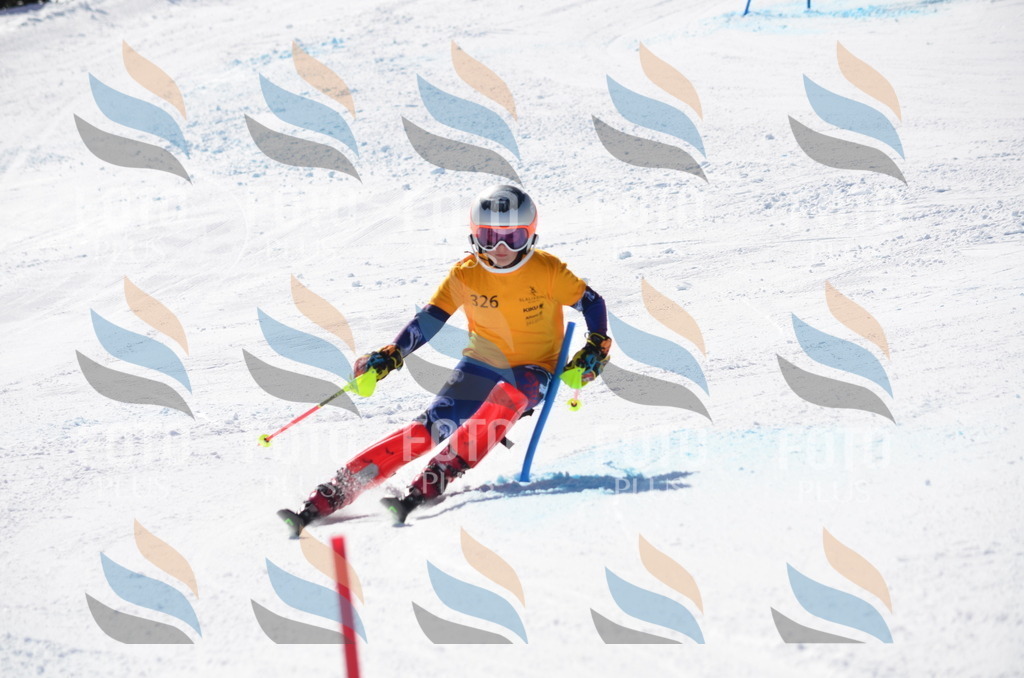 C9642 | holidayphoto