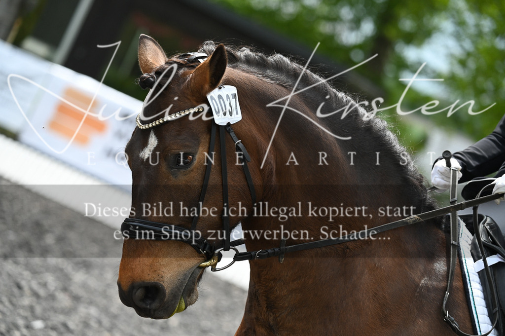 20230512_JK-Röhrsdorf-07-122 | Pferde- und Turnierfotografie in Westsachsen. Pferdeportraits, Auftragszeichnungen und intuitive Kunst.